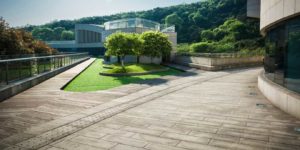 Driveway Paving Services